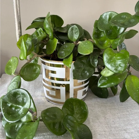 Gold and White Geometric Planter - Picture 2 of 8